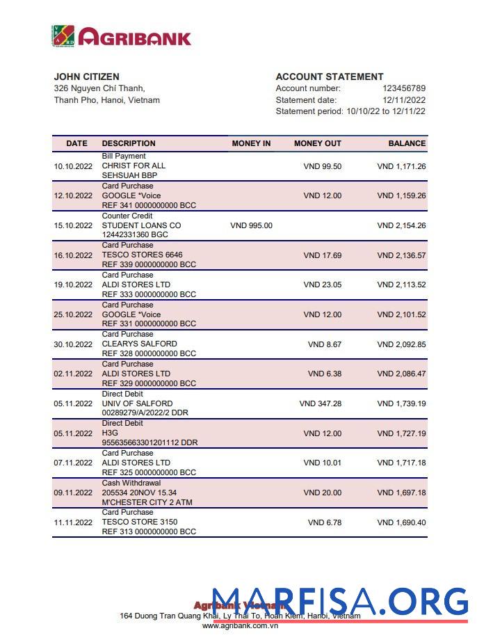 Downloadable Vietnam Agribank bank statement excel download for verification